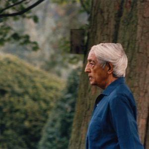 Bilder Krishnamurti, die Revolution der Stille