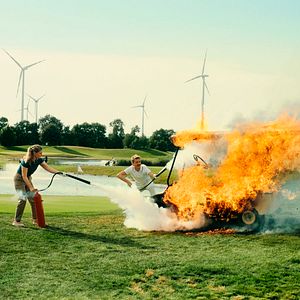 Bilder Pfau – Bin ich echt?