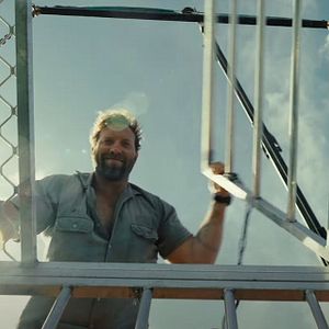 Bilder Dangerous Animals