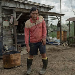 Bilder Borderless Fog