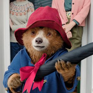 Bilder Paddington in Peru