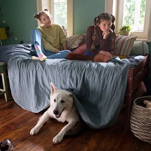 Bilder Lampo - Ein Vierbeiner auf Reisen