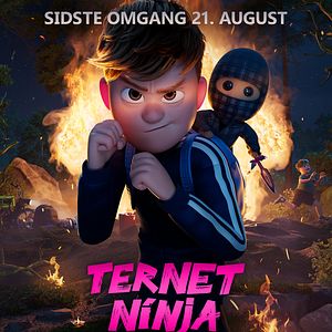 Bilder Der karierte Ninja 3