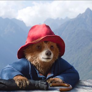Bilder Paddington in Peru
