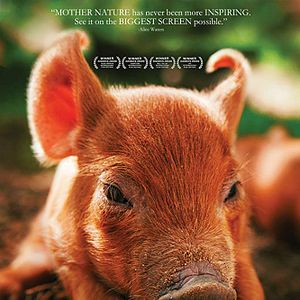 Bilder Unsere große kleine Farm