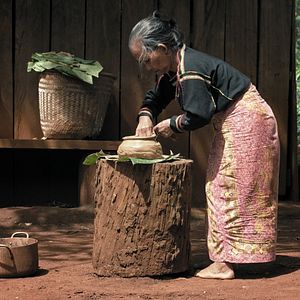 Bilder We Are The Fruits Of The Forest