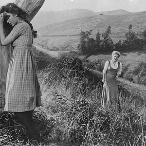 Bilder Und wäre die Liebe nicht...