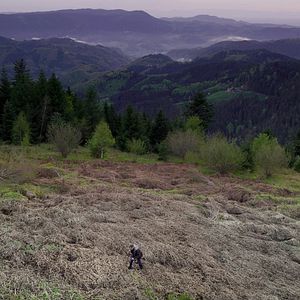 Bilder Friendly Fire - Erich Fried