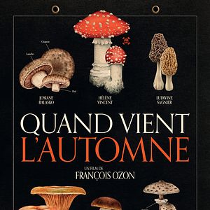 Bilder Wenn der Herbst naht