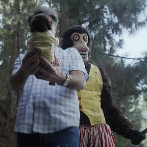 Bilder The Jolly Monkey