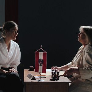 Bilder Noch lange keine Lipizzaner