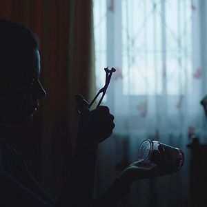 Bilder Die Vertriebenen