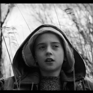 Bilder Krieg oder Frieden