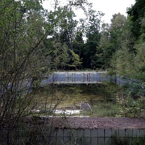 Bilder Krieg oder Frieden