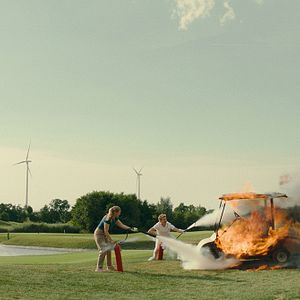 Bilder Pfau – Bin ich echt?