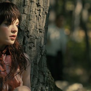 Bilder Companion - Die perfekte Begleitung