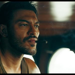 Bilder Flycatcher - Survival Has Its Price