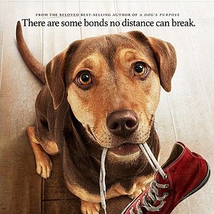 Bilder Die unglaublichen Abenteuer von Bella