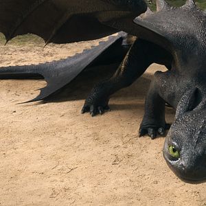 Bilder Drachenzähmen leicht gemacht