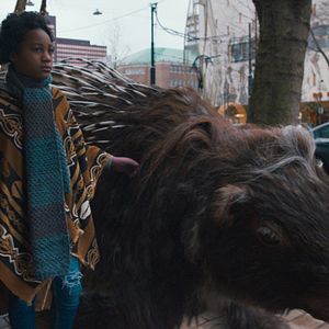 Bilder Mein Totemtier & ich