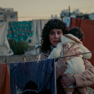 Bilder Im Schatten des Orangenbaums