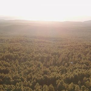 Bilder Lookout - Der Turm