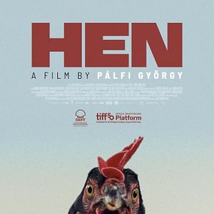 Bilder Lebensansichten eines Huhns