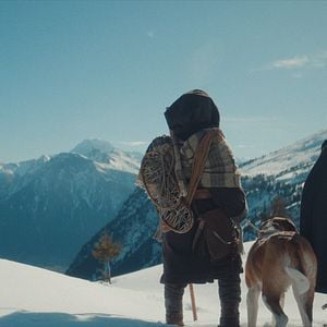 Bilder Mein Freund Barry