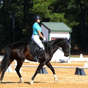 Bilder Lauren Kanarek