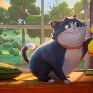 Bilder Alles für die Katz