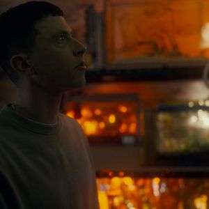 Bilder Spiders - Ihr Biss ist der Tod