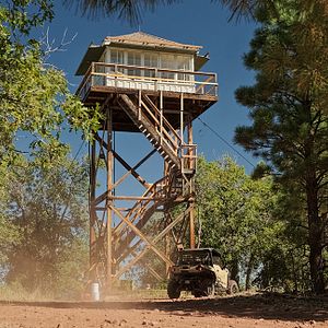 Bilder Lookout - Der Turm