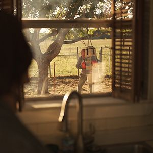 Bilder The Senior - Ein Traum, ein Wille, ein letztes Spiel