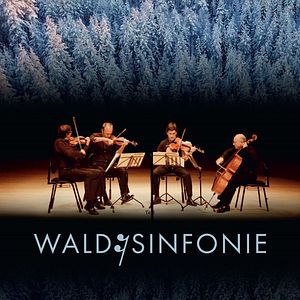 Bilder Wald:Sinfonie