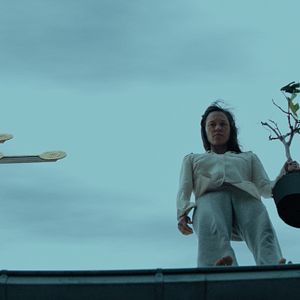 Bilder Chaos und Stille