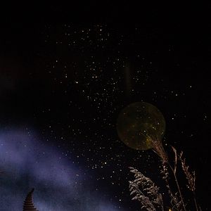 Bilder Royal Ballet & Opera: Cinderella