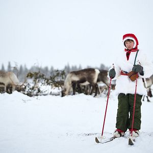 Bilder Das Leuchten der Rentiere