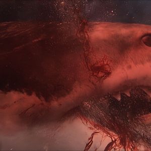 Bilder Chum - Gefährliche Bestien