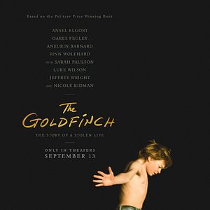 Bilder Der Distelfink