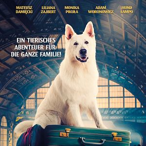 Bilder Lampo - Ein Vierbeiner auf Reisen