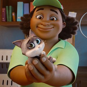 Bilder Alles für die Katz