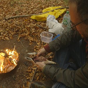 Bilder Wir werden alle sterben!