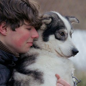 Bilder Folktales - Mit Schlittenhunden ins Leben