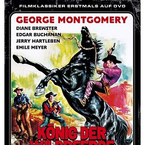 Bilder Fest im Sattel