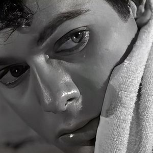 Bilder Tony Curtis