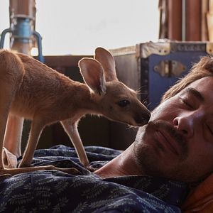 Bilder Lilly und die Kängurus