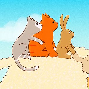 Bilder Tommy Tom - der verschwundene Teddybär