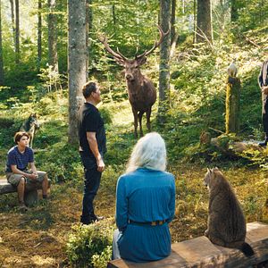 Bilder Woodwalkers 2