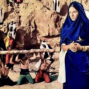 Bilder Raffica - Tiger der Wüste