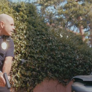 Bilder Hochstapler und Ponys